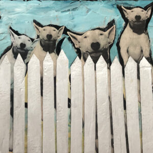 Fenced Bull Terriers