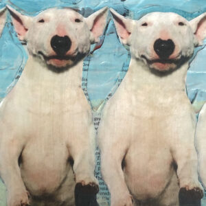 Four Bull Terriers in a Row