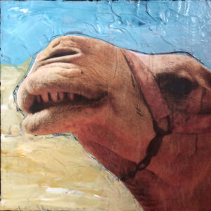 Camel Headshot. He's sure he'll start to get parts in commercials or maybe a movie. Dream big!