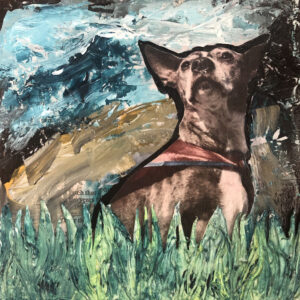 Lulu in the Grass. A modern-day super hero. A leader of the Pitts