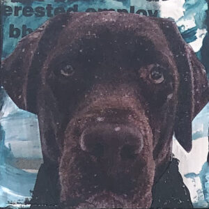 Sad Brown Lab Remembering the Day Original Tiny Painting 2" x 2"