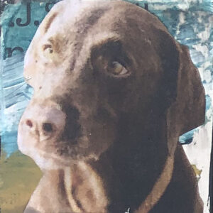 Brown Lab, Thinking of You Original 2"x2" Painting