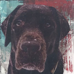 Sad Brown Lab Tiny Painting