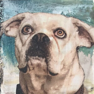 French Bulldog Fully Aware of His Beautiful Eyes Original Tiny Painting 2" x 2"