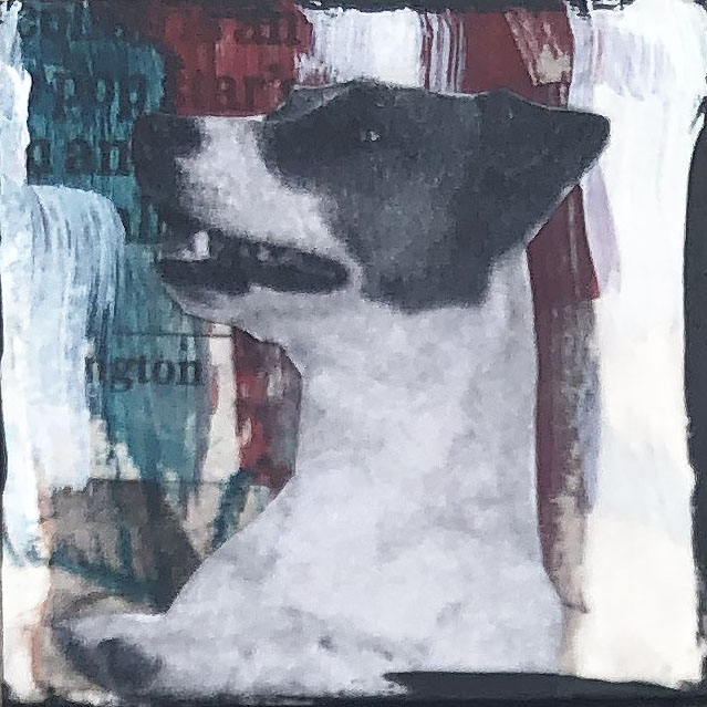 Jack Russell He Knows What He Did Original Tiny Painting 2" x 2"