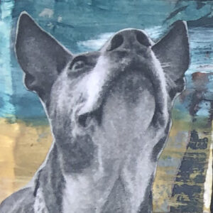 Lulu Looking Up Waiting Patiently Original Tiny Painting 2" x 2"