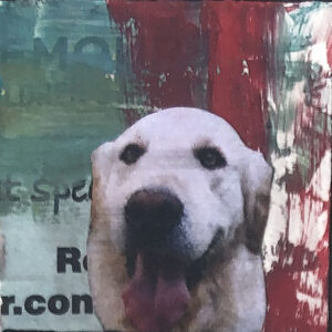 Golden Retriever in Red, Thinking of You Original Tiny Painting 2"x2"