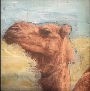 Camel Parts an Original Mixed Media Painting