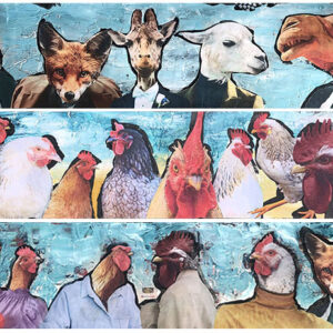 Funny Animal Note Cards