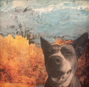 Autumn Lulu - an original pit bull painting