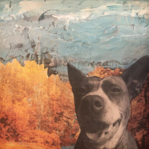 Autumn Lulu - an original pit bull painting