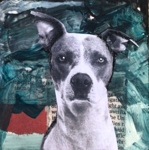 Butch - He Thinks He's a Pit Bull