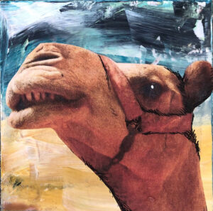 Cameron the Camel at Night