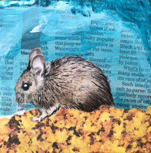 Chinchilla in the Leaves