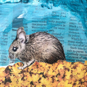 Chinchilla in the Leaves