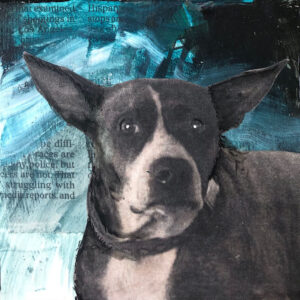 Lulu the Tank a Pit Bull Painting