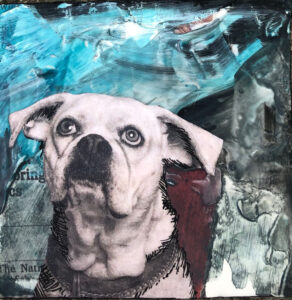 Nighttime Bulldog - A French Bulldog