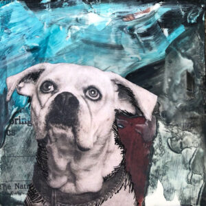 Nighttime Bulldog - A French Bulldog