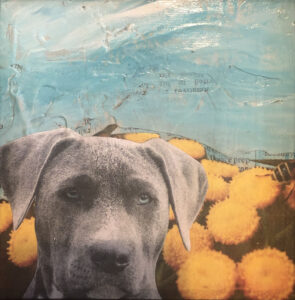 Summer Pup - an original painting of a lab
